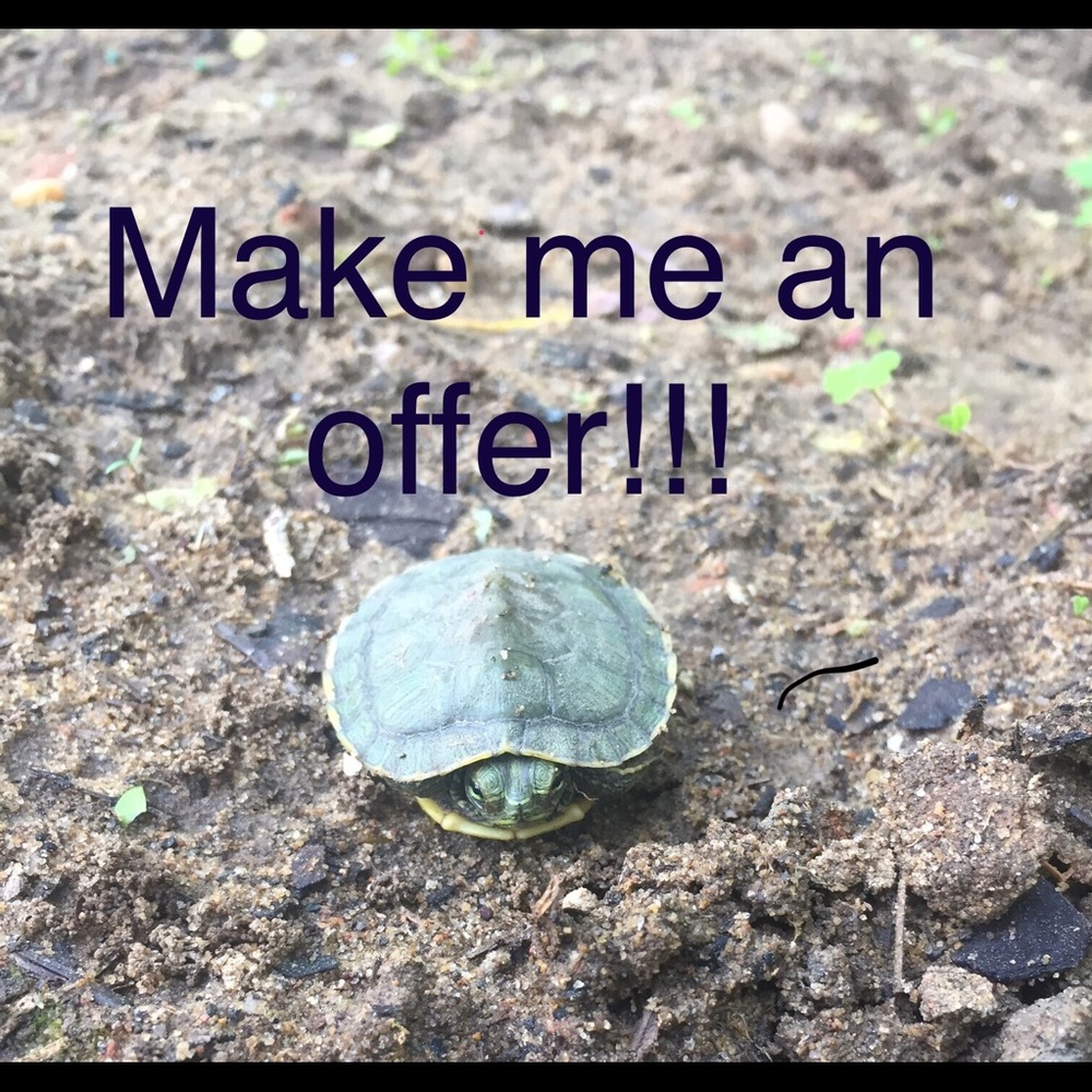 All offers considered